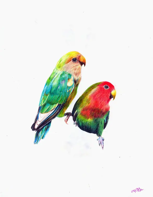 Ilustración de autor por Vionda
